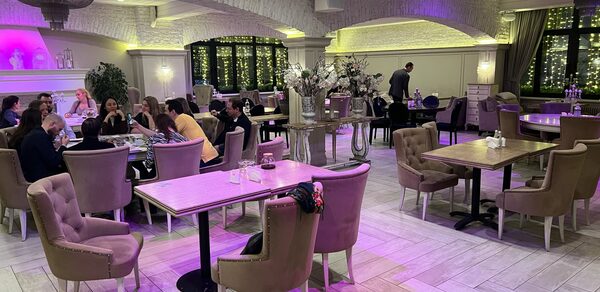 Верба Уютное светлое пространство