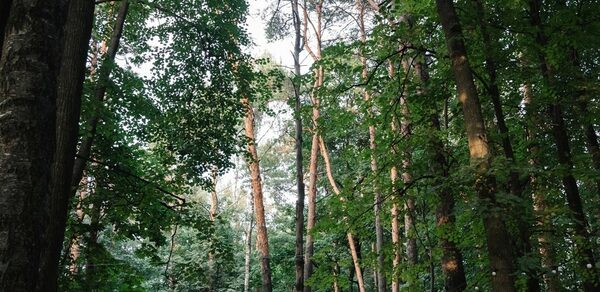 Белоснежный банкетный зал в Усадьбе Лесной Берег