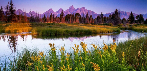 Тестовый зал мск. На изображении живописный пейзаж: горы на горизонте, лес и кустарники на переднем плане, отражение в спокойной речной воде. На переднем плане жёлтые цветы, создающие яркий акцент. Небо ясное с легким розовым оттенком.