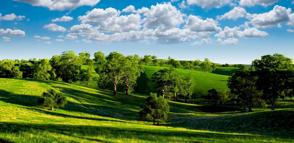 Тестовый зал мск. На картинке изображён пейзаж с зелёными холмами и деревьями под ярким голубым небом с белыми облаками. Тень от деревьев падает на травяной покров, создавая красивые контрасты между светом и тенью.
