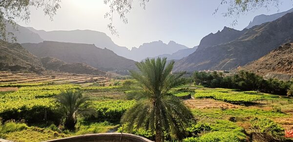 Тестовый зал