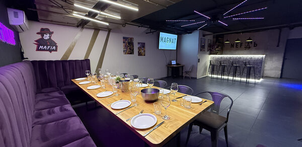 Просторный лофт с барной стойкой