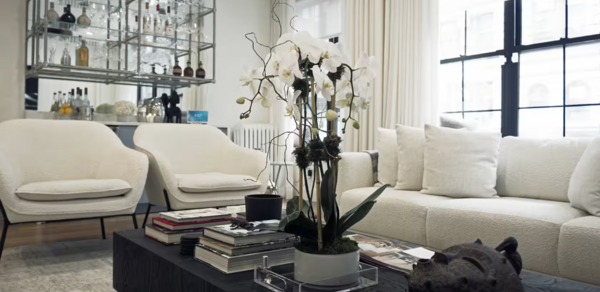 Entire Light and Bright Loft at Chelsea Loft