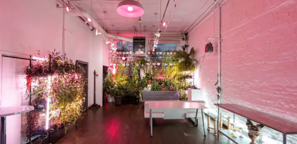 Loft393