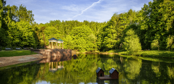 Беседка с мангалом для шашлыка