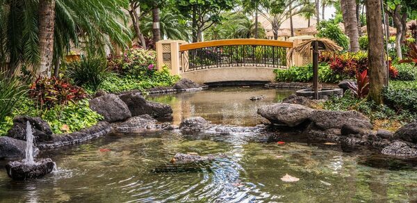 Беседка для шашлыка в Бирюлёвском лесопарке