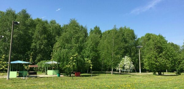 Мангальные беседки на территории Парк Отель Куркино