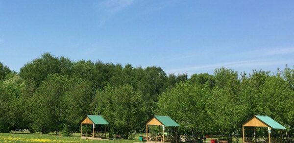 Мангальные беседки на территории Парк Отель Куркино