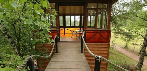 Беседка на 15-20 человек в парке Лосиный Остров