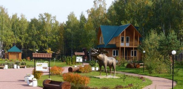 Летняя терраса на территории парка Лосиный Остров