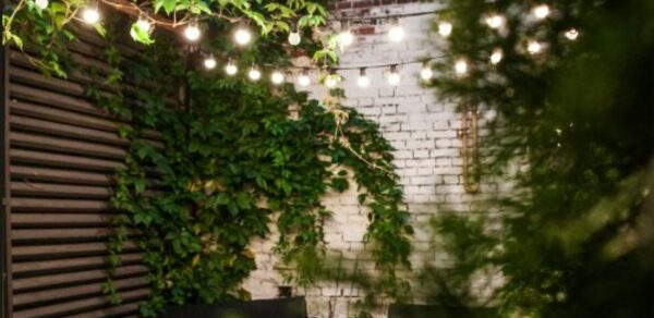 Лофт со своим двориком. Уличное пространство с кирпичной стеной, увитой зеленью. Небольшие столы и стулья. Над головой натянута гирлянда с круглым освещением. Деревянные панели с левой стороны. Общий зеленый и коричневый тон.