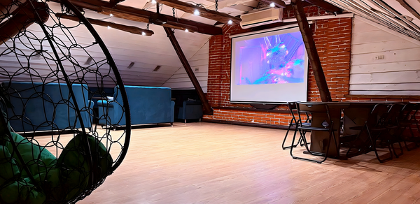 Лофт-мансарда 