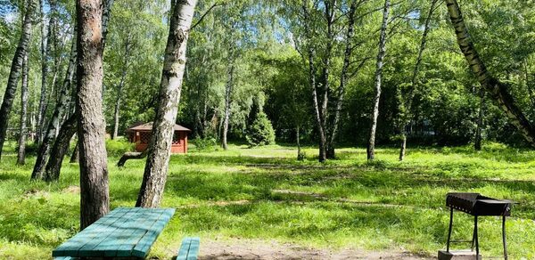 Мангальная зона / барбекю на территории лечебно-оздоровитель