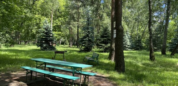 Мангальная зона / барбекю на территории лечебно-оздоровитель