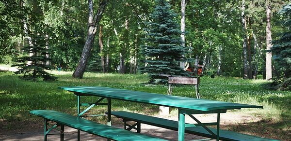 Мангальная зона / барбекю на территории лечебно-оздоровитель