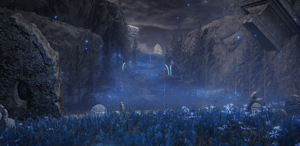 МСК зал тестовый