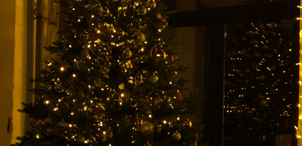 OMEGA LOFT. Лофт с террасой и камином 