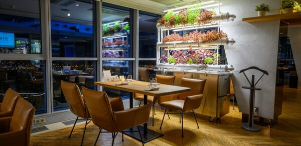 Этаж 41. Банкетный зал в видовом ресторане