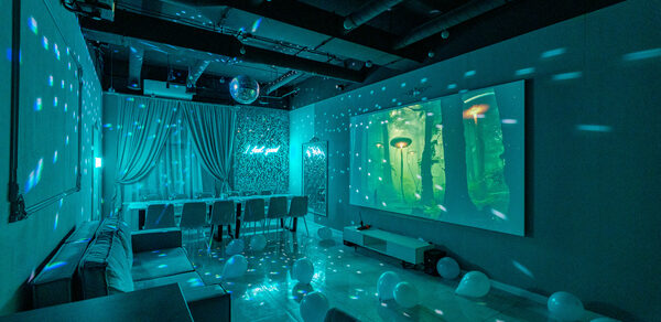 Tiffany. Изысканный лофт с мебелью, светомузыкой и караоке