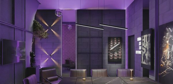 Лофт с атмосферой таинственности и стиля с верандой на крыше