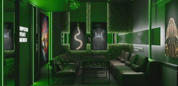 Лофт с элементами тропической природы с верандой на крыше