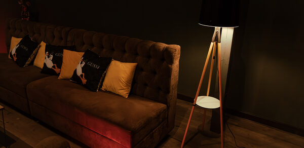 Комфортный лофт с проектором