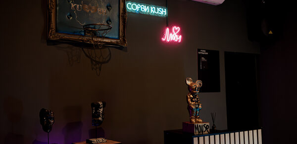 Комфортный лофт с проектором