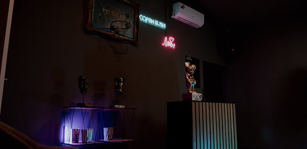 Комфортный лофт с проектором