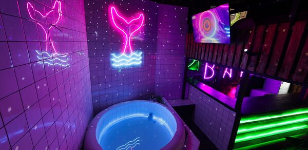 Фото карета. Сказка. Двухуровневый лофт