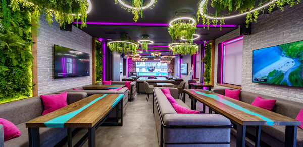 Мятный Енот