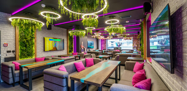 Мятный Енот