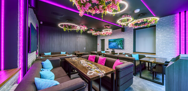 Мятный Енот