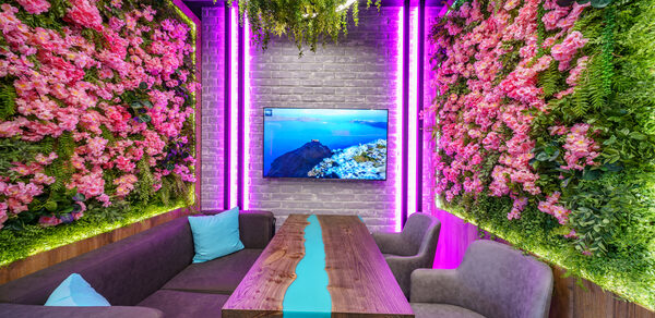 Мятный Енот