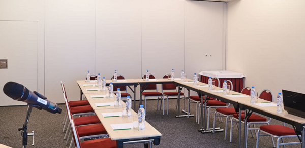 Зал для деловых встреч в отеле Петро Палас