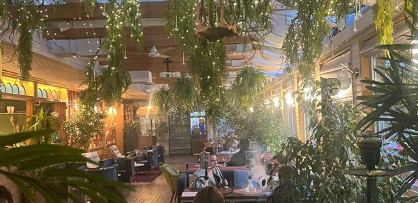 Blush Lounge (Блаш Лаунж). Банкетный зал с зеленью