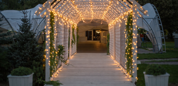 Фореста. Шатер «Фестиваль» в Прохорово