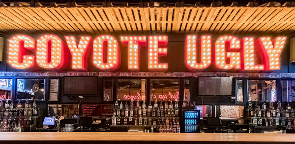 Coyote Ugly Bar(Бар Уродливый койот). Аутентичный бар