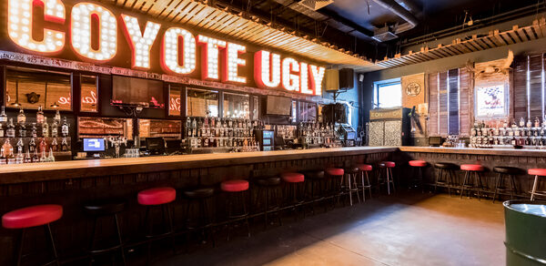 Coyote Ugly Bar(Бар Уродливый койот). Аутентичный бар