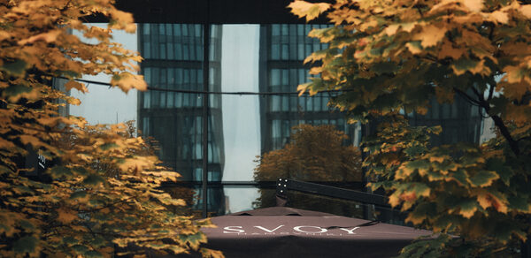 SVOY(СВОЙ) ХАМОВНИКИ