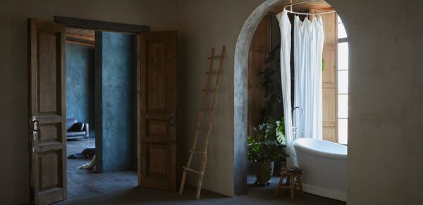 Зал Flo. Фотостудия Мимика. Просторное помещение с арочным проходом. Ванна с белой занавеской и растениями в нише. Дверной проем с двустворчатыми деревянными дверями, рядом деревянная лестница. Темные стены и потолок, естественное освещение.