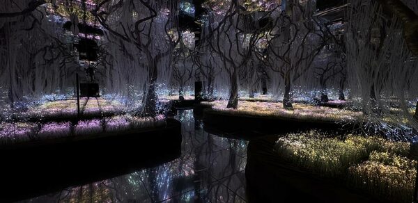 Futurione(Футурио́не). Лесная инсталляция с фантастическими деревьями и светящимися цветами. Тёмный интерьер с зеркальным полом отражает разноцветные огни. Светодиодное освещение создает волшебную атмосферу, сплетения ветвей формируют перекрытия.