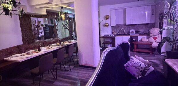 ЛЕС БАР. Уютное помещение с обеденной зоной; длинный стол с мягкими стульями, рядом кожаный диван. В углу кухня с белыми шкафами, есть мягкая игрушка. Потолочные светильники, деревянный пол, на диване подушки, зелёное растение, общее освещение мягкое.
