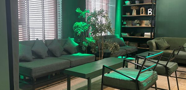 Work Shop Loft(Воркшоп Лофт). Зал 11 . Зал с зелеными стенами и деревянными жалюзи. В комнате расположены диваны с подушками и металлическими каркасами, журнальный столик, кресла, полка с декором и растениями. Искусственное освещение создает атмосферу, подчеркивая зеленую цветовую гамму.