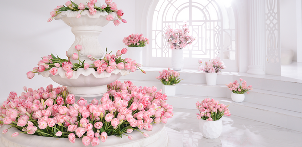 Cross Studio. Зал Авалон