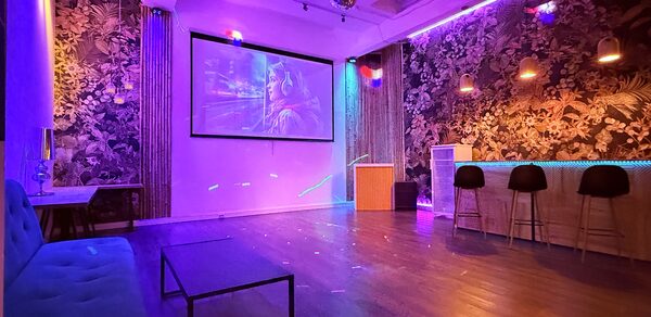 Лофт для вечеринок с коктейльным баром . Просторное помещение с деревянным полом, стена с цветочным узором, барная стойка с тремя стульями, мягкий диван, кофейный столик. Потолочные светильники, декоративное освещение разноцветными лампочками, проекционный экран с изображением.