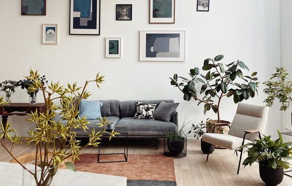 Prostranstvo. Фотостудия для всех видов мероприятий