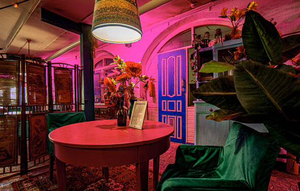 Индийский лофт-сад с тропическими растениями