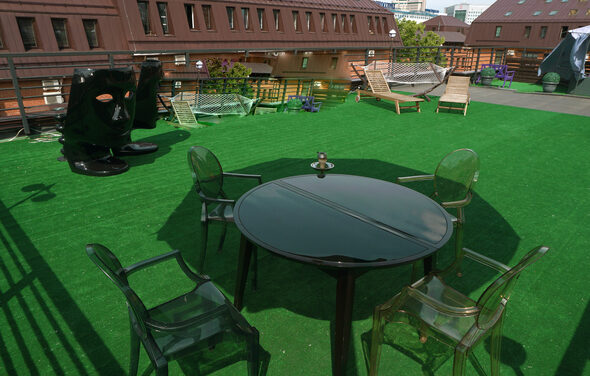 Cpa Loft. Крыша 