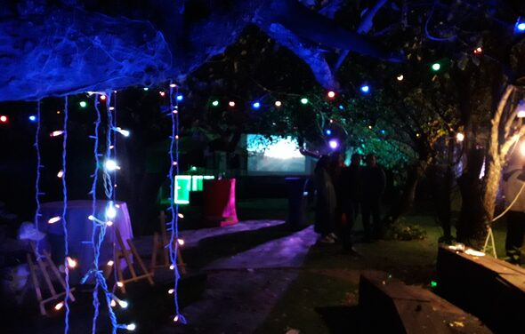 Loft in a fairy garden