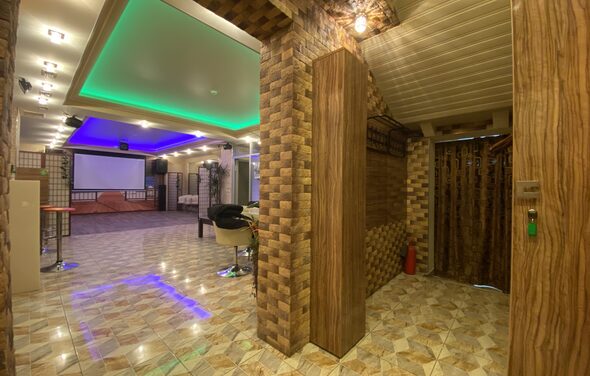 Лофт-пространство с живыми хамелеонами